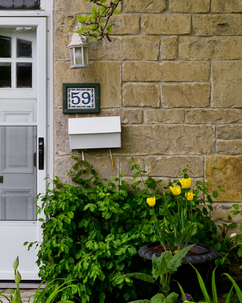 Modern entry door