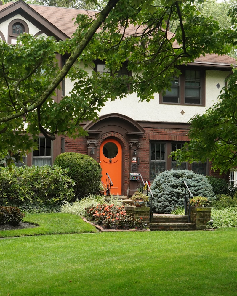 Bold painted entry door